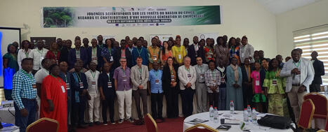 For&ecirc;ts d&rsquo;Afrique centrale : les chercheurs partagent leurs connaissances autour de la gestion durable du Bassin du Congo&nbsp;&nbsp; | &Eacute;cosyst&egrave;mes Tropicaux | Scoop.it