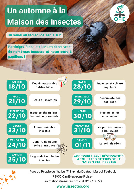 Des vacances pour apprendre plus sur les petites bêtes - Opie | Variétés entomologiques | Scoop.it