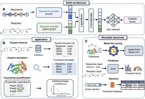Scalable Enzyme Reaction Retrieval Enables Metagenomic Biocatalyst Discovery | brvai | RMH | Scoop.it