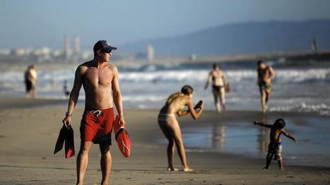 California's warm 2014 brings something else: more beach rescues | Coastal Restoration | Scoop.it