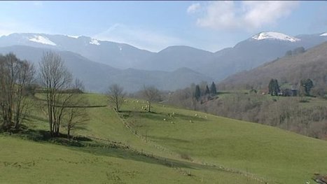 [Feuilleton] Les Baronnies, un territoire dans le coeur de ses habitants - France 3 Midi-Pyrénées | Vallées d'Aure & Louron - Pyrénées | Scoop.it