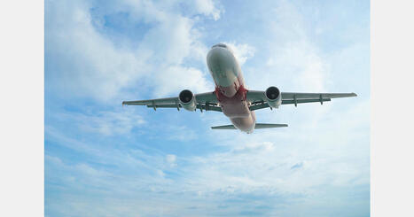 LOGISTICS: Afghanistan launches air cargo for fruit exports | COMMERCE & LOGISTIQUE | Scoop.it