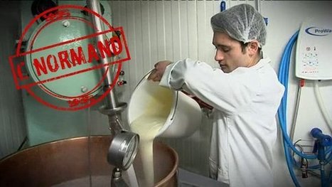 C Normand: Cara-Meuh, le caramel au lait 100% normand - France 3 Basse-Normandie | Lait de Normandie... et d'ailleurs | Scoop.it