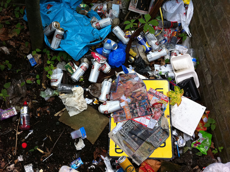 Don't trust your Stone Age brain: it's unsustainable | Shipley Asia Pacific | Scoop.it