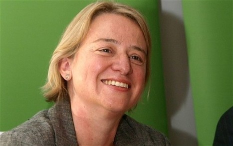 Drugs, brothels, al-Qaeda and the Beyonce tax: the Green Party plan for Britain - Telegraph | Peer2Politics | Scoop.it