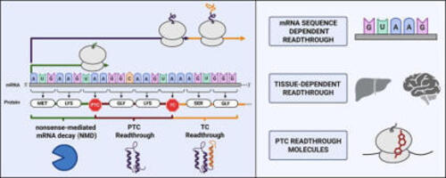 Molecular determinants and therapeutic targetin...