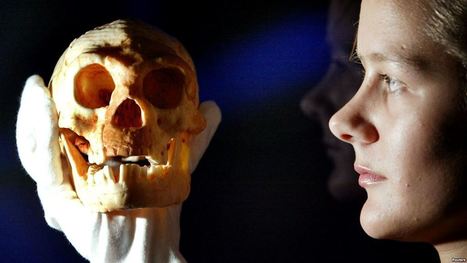 Study: We Learn Language in Pre-Human Area of Brain | The EFL SMARTblog Scoop.it Page | Scoop.it