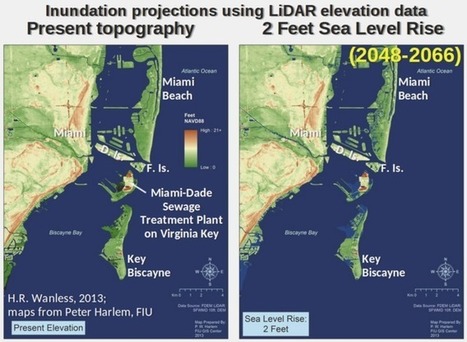 Florida could be overwhelmed by Sudden SeaRise ~ cracks are showing... | Coastal Restoration | Scoop.it