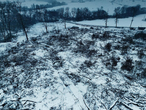 Ikea ostaa puuta Romanian suojelluista metsist&auml; &ndash; retki ikimets&auml;&auml;n osoittaa EU:n mets&auml;politiikan onttouden | 1Uutiset - Lukemisen t&auml;hden | Scoop.it