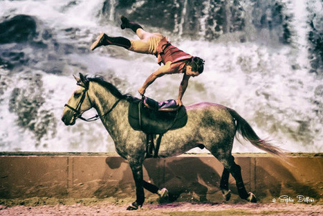 Un week-end au galop à Albi pour le Salon du cheval, du 12 au 14 février | Salon du Cheval | Scoop.it