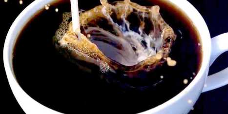 Which Type Of Coffee Gives You The Most Energy? (Video) | foodSenses | Scoop.it
