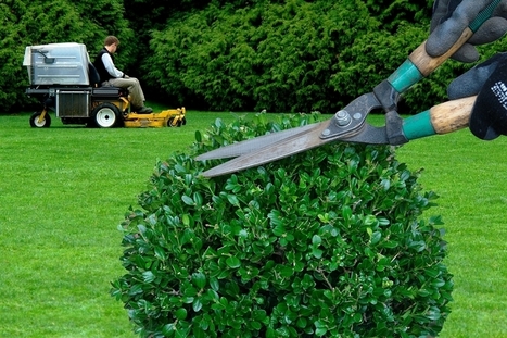 Ecole du paysage et de l'horticulture : des rendez-vous pour s'informer | UseNum - InfoJeunesse | Scoop.it