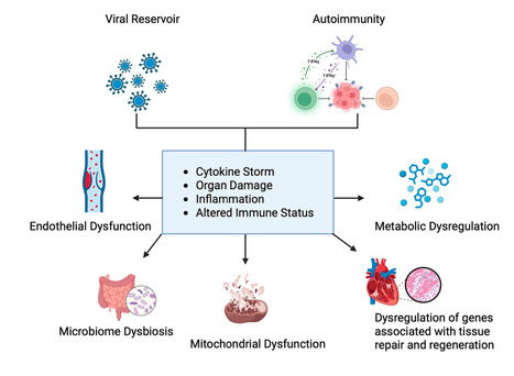 Advances in Understanding Long COVID: Pathophysiological Mechanisms and the Role of Omics Technologies in Biomarker Identification  | Virus World | Scoop.it