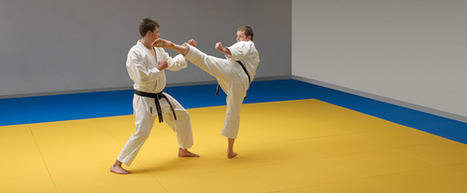 Judo Mats Supplier In Delhi Judomatsindia J