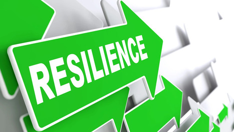 The CISO as Business Resilience Architect | Cybersecurity Leadership | Scoop.it