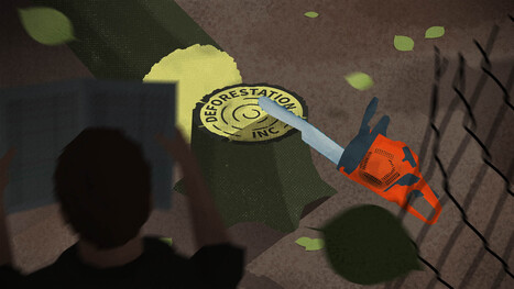 Deforestation Inc. - ICIJ | Tax | Scoop.it