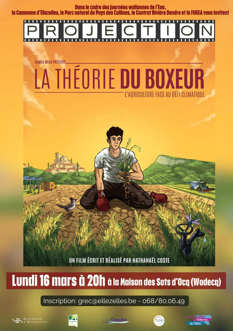 Cin&eacute;-d&eacute;bat : la th&eacute;orie du boxeur &agrave; Wodecq (Belgique) | Vari&eacute;t&eacute;s entomologiques | Scoop.it