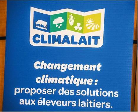 Changement Climatique - Climalait, un programme pour s’adapter | Lait de Normandie... et d'ailleurs | Scoop.it