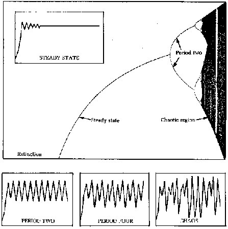 Chaos Theory: A Brief Introduction | The 21st Century | Scoop.it