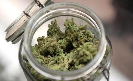 Legal Cannabis in Uruguay to be $2.5 Per Gram - The Joint Blog | Beckley News : Cannabis - Marijuana | Scoop.it