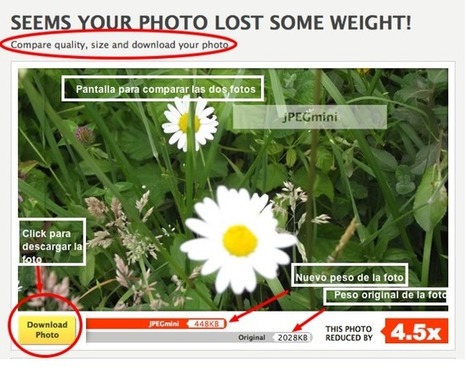 Cómo reducir el peso de tus fotos JPG . | TIC & Educación | Scoop.it