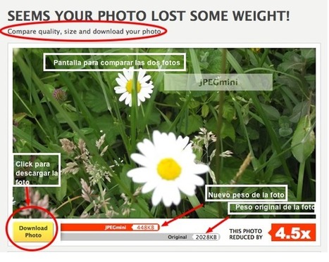 Cómo reducir el peso de tus fotos JPG | Nuevas tecnologías aplicadas a la educación | Educa con TIC | TIC-TAC_aal66 | Scoop.it