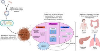 Microbial medicines: Unlocking the therapeutic potential of the microbiome in cancer treatment | RMH | Scoop.it