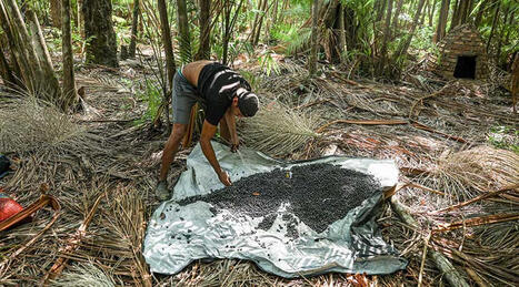 8,6 milhões de pessoas saíram da pobreza entre 2023 e 2024 | Inovação Educacional | Scoop.it