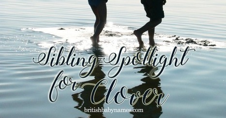 Sibling Spotlight for Clover | Name News | Scoop.it