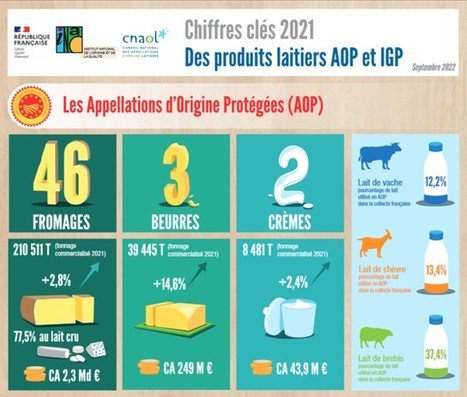 [Infographie] Découvrez les chiffres-clés des produits laitiers sous AOP et IGP en 2021 | Lait de Normandie... et d'ailleurs | Scoop.it