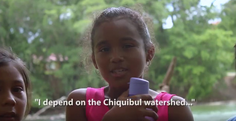 Chiquibul Watershed Video | Cayo Scoop!  The Ecology of Cayo Culture | Scoop.it