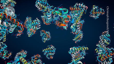 How fast does a protein fold? Real-time technique captures the moment | nat | RMH | Scoop.it