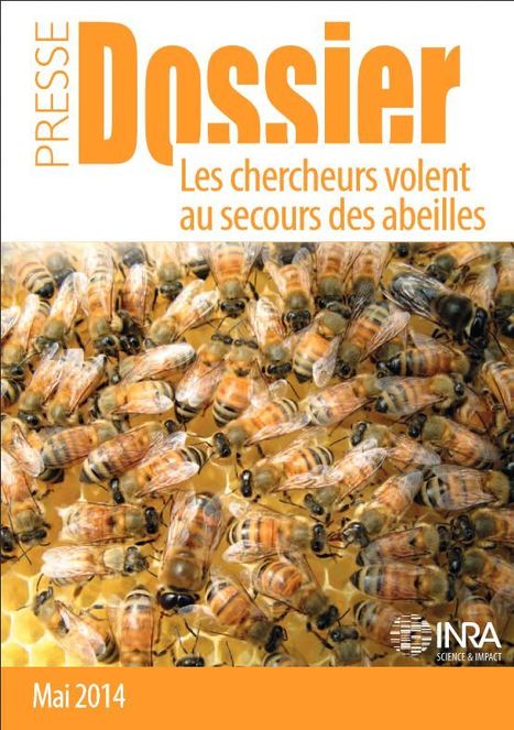 INRA - dossier abeilles | Insect Archive | Scoop.it
