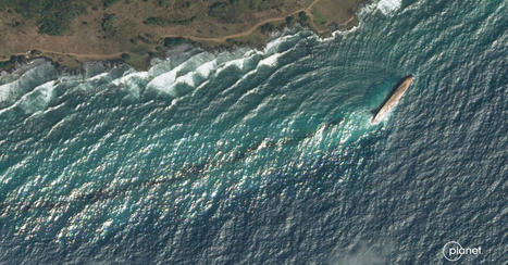 Tobago oil spill reaches Bonaire, threatening mangrove and coral ecosystems / le 27.02.2024 | Pollution accidentelle des eaux (+ d&eacute;chets plastiques) | Scoop.it