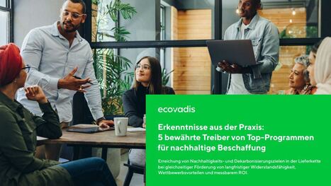 Erkenntnisse aus der Praxis: 5 bewährte Treiber von Top-Programmen für nachhaltige Beschaffung | Sustainable Procurement News - Deutschland, Österreich, Schweiz | Scoop.it
