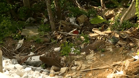 Upper Hickory Nut Gorge residents urge faster county response to lingering Helene damage | Industry 411 - Waste Management | Scoop.it