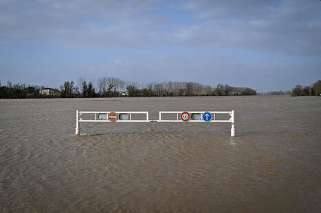 A La R&eacute;ole, frapp&eacute;e par la temp&ecirc;te Nils, l&rsquo;angoisse de la r&eacute;p&eacute;tition des crues&nbsp;: &laquo;&nbsp;C&rsquo;est invivable, je ne trouve pas d&rsquo;autres mots&nbsp;&raquo; | Environnement | Scoop.it