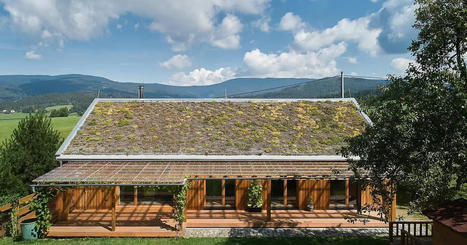 Une modeste maison bois et son toit végétalisé au coeur d'un verger tchèque | Build Green | Architecture, maisons bois & bioclimatiques | Scoop.it