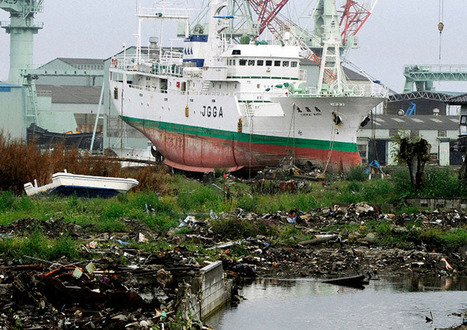 Japan Earthquake: Six Months Later - Alan Taylor - In Focus - The Atlantic | Contenu pour mon Blog | Scoop.it