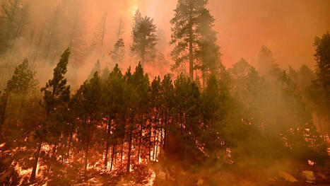 California wildfires: Entire city of South Lake Tahoe ordered to evacuate - NZHerald.co.nz | Agents of Behemoth | Scoop.it