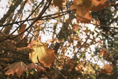 Fujifilm X100V Film Simulation Recipe: Superia Xtra 400 by&nbsp;Thomas Schwab /&nbsp; / Fuji X Weekly photography | Fujifilm X Series APS C sensor camera | Scoop.it