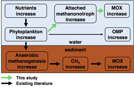 Methane oxidation in African lakes increases with phytoplankton and outweighs photosynthesis-driven oxic methane production | Ncm | RMH | Scoop.it