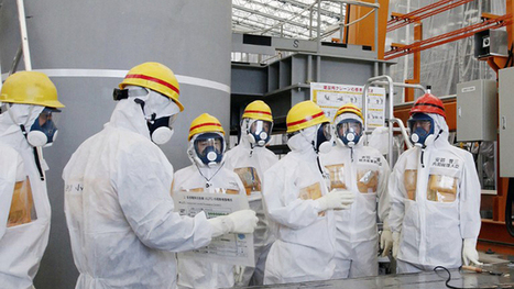 #FUKUSHIMA Radioactive Waste Nightmares | BIODIVERSITY IS LIFE  – | Scoop.it
