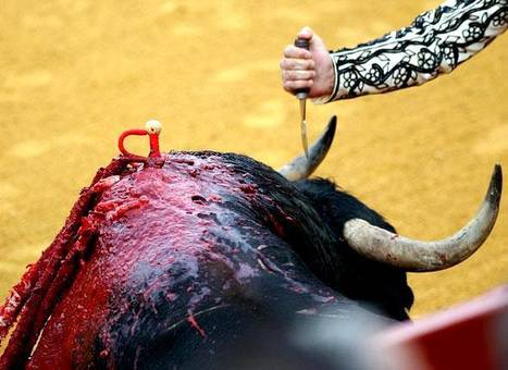 NKM et Xavier Bertrand appellent Cop&eacute; et Fillon &agrave; en finir | Chronique des Droits de l'Homme | Scoop.it