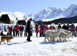 Ces chiens qui ont la montagne dans le sang - La Dépêche | Vallées d'Aure & Louron - Pyrénées | Scoop.it