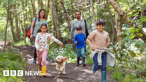Nature and outdoors can help boost your health - here's how | Physical and Mental Health - Exercise, Fitness and Activity | Scoop.it