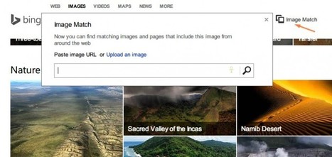 Cómo usar la nueva función de búsqueda inversa de imágenes en Bing | TIC & Educación | Scoop.it
