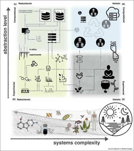 Pharmacognosy in the digital era: shifting to contextualized metabolomics | Natural Products Chemistry Breaking News | Scoop.it