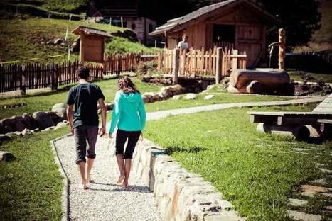 Forest Bathing e non solo: in Trentino luoghi e percorsi per guarire con la natura - greenMe | EcoTurismo e Mobilità Sostenibile | Scoop.it