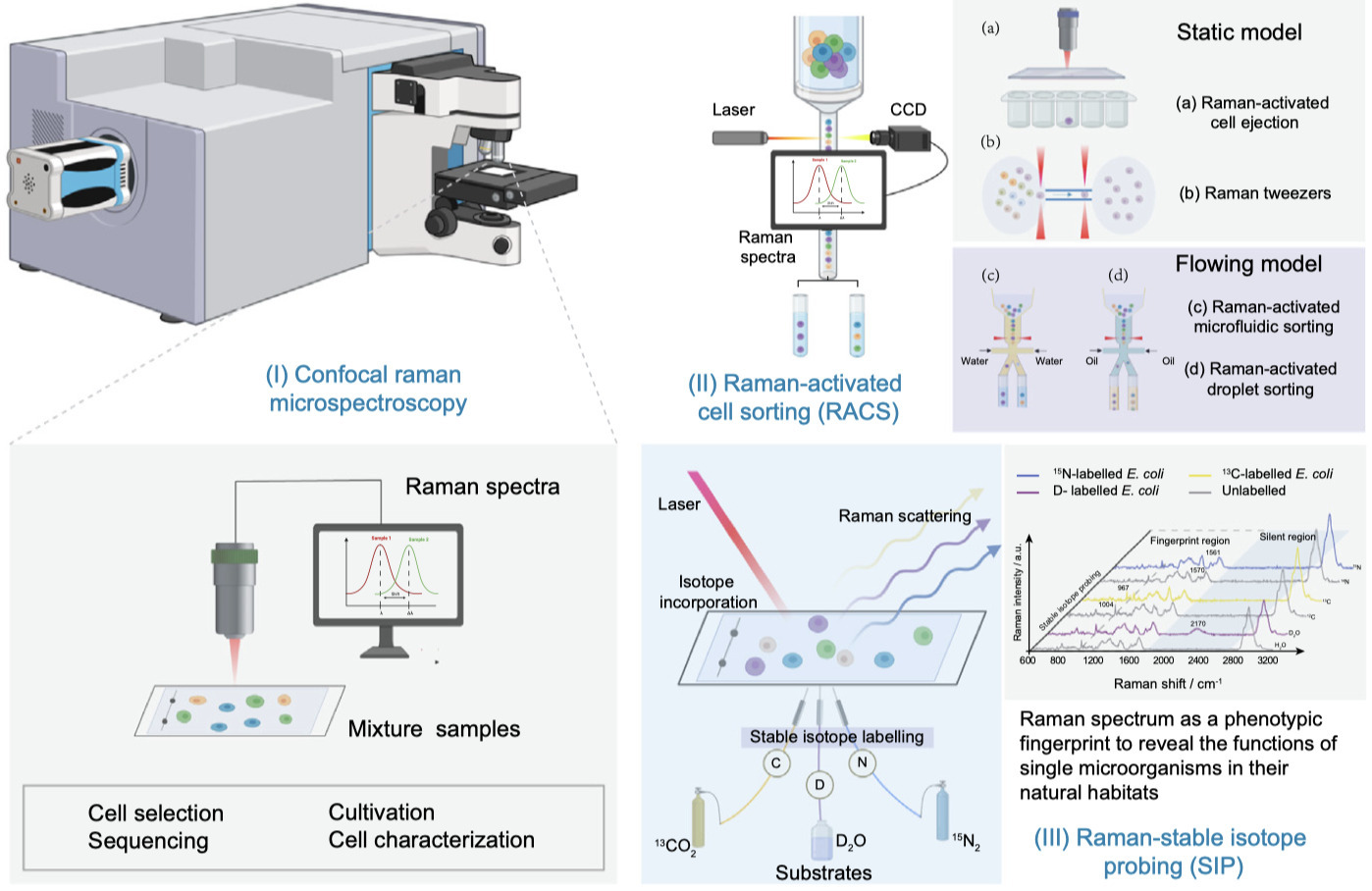 Tackling the plastisphere: the single-cell Rama...